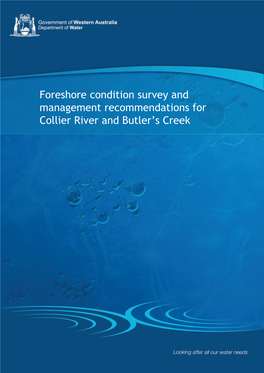 Foreshore Condition Survey and Management Recommendations for Collier River and Butler's Creek