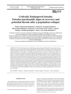 Critically Endangered Totoaba Totoaba Macdonaldi: Signs of Recovery and Potential Threats After a Population Collapse