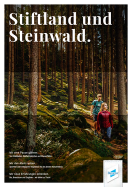 Stiftland Und Steinwald