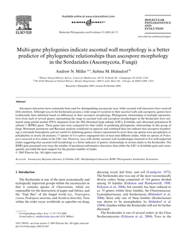 Multi-Gene Phylogenies Indicate Ascomal Wall Morphology Is a Better