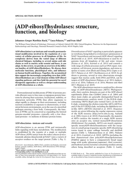 ADP-Ribosyl)Hydrolases: Structure, Function, and Biology