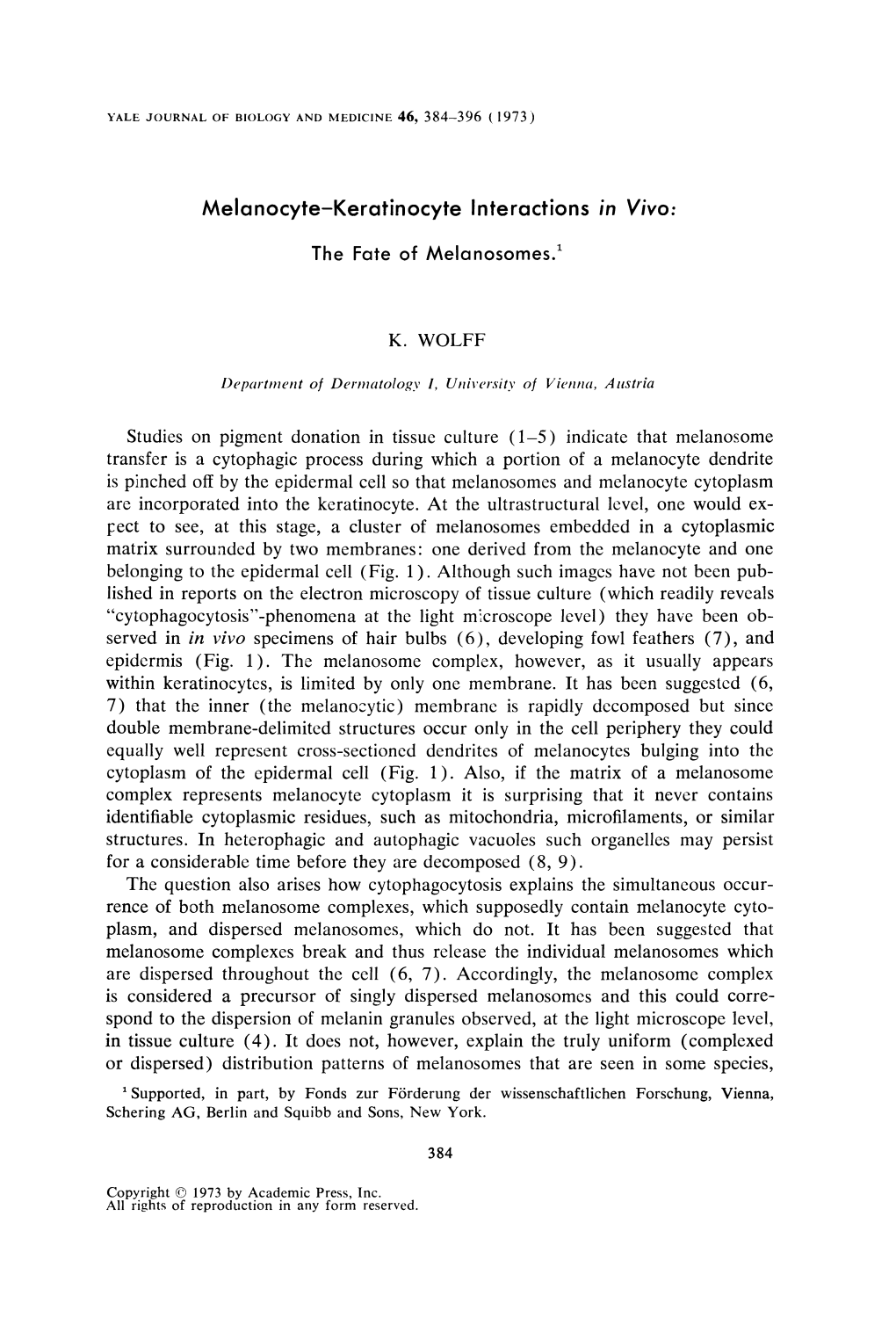 Melanocyte-Keratinocyte Interactions in Vivo: the Fate of Melanosomes