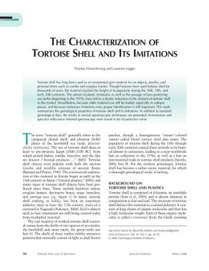 The Characterization of Tortoise Shell and Its Imitations