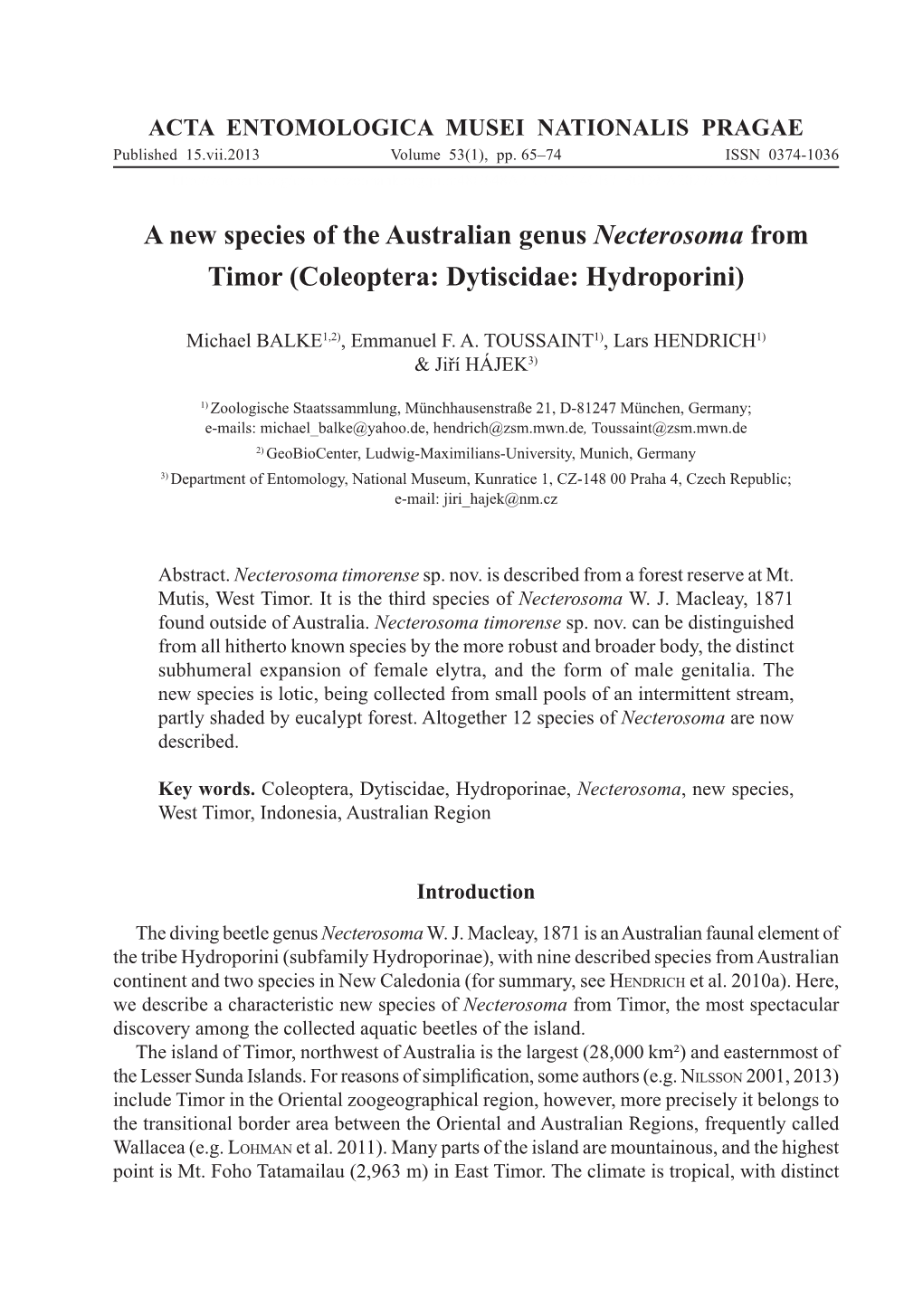 A New Species of the Australian Genus Necterosoma from Timor (Coleoptera: Dytiscidae: Hydroporini)