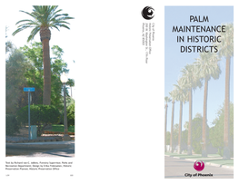 Palm Maintenance in Historic Districts