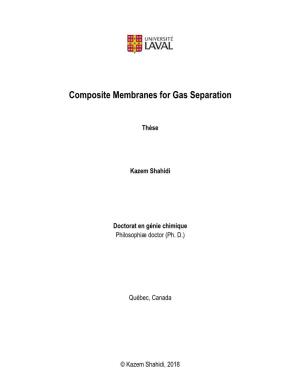 Composite Membranes for Gas Separation