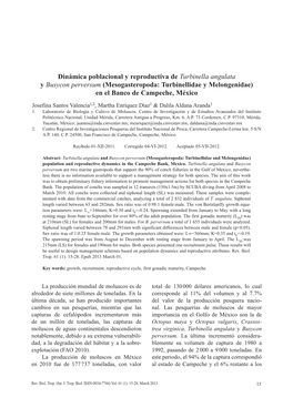 Dinámica Poblacional Y Reproductiva De Turbinella Angulata Y Busycon Perversum (Mesogasteropoda: Turbinellidae Y Melongenidae) En El Banco De Campeche, México