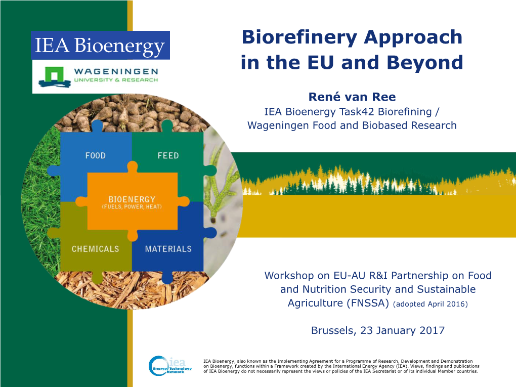 Biorefinery Approach in the EU and Beyond