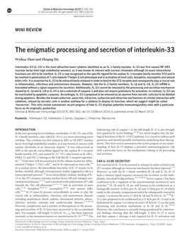 The Enigmatic Processing and Secretion of Interleukin-33