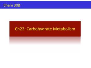 Ch22: Carbohydrate Metabolism Catabolism Overview Diges On of Carbohydrates Villi of Small Intes Ne [Handout] Catabolism Flow Chart