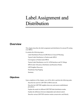 MPLS-Label-Assignment-Distribution