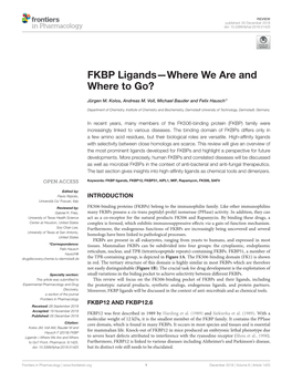 FKBP Ligands—Where We Are and Where to Go?
