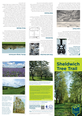 Sheldwich Tree Trail