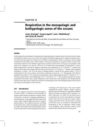 Respiration in the Mesopelagic and Bathypelagic Zones of the Oceans