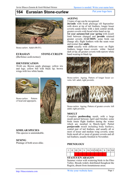 164 Eurasian Stone-Curlew Put Your Logo Here