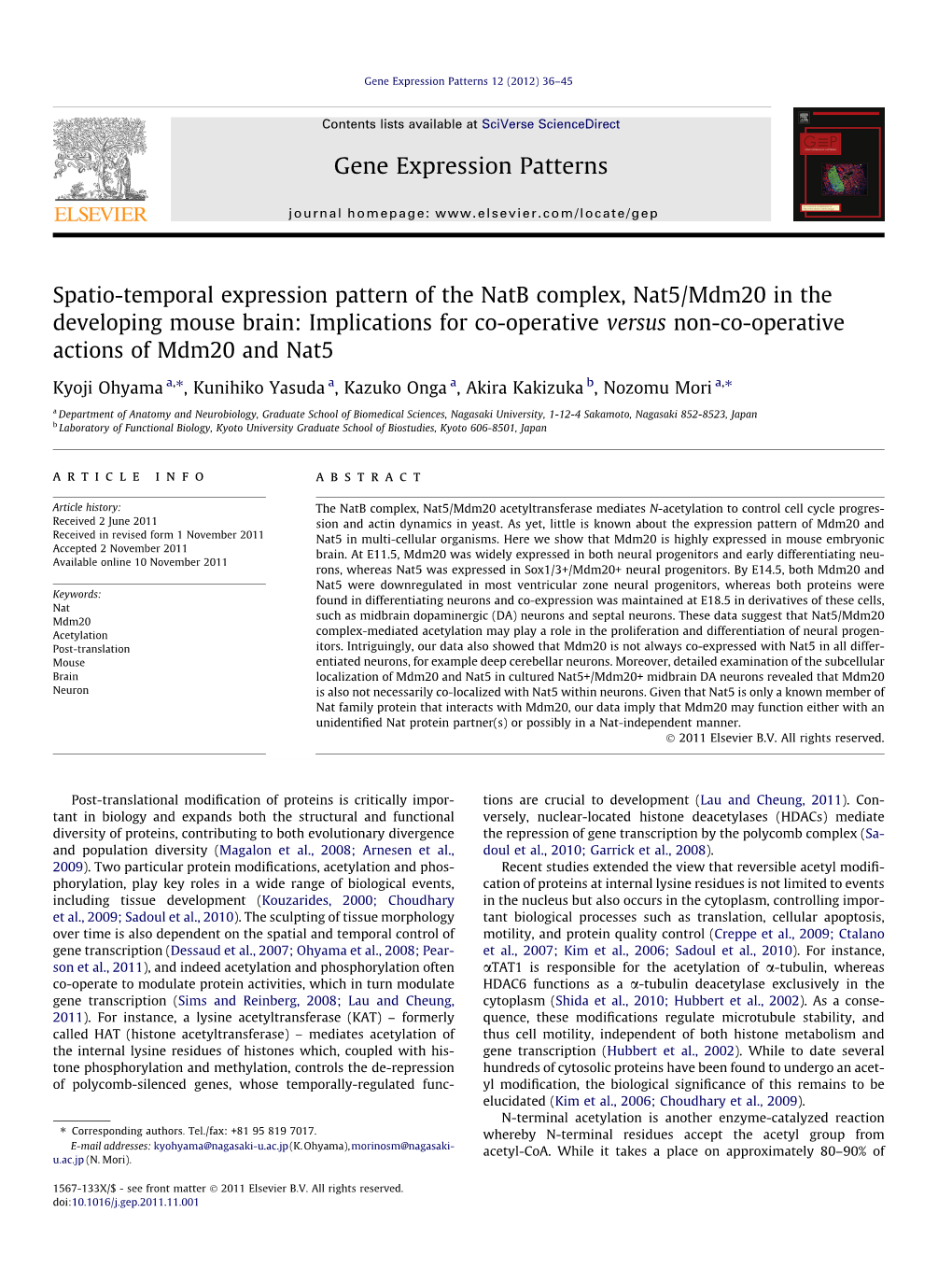 Spatio-Temporal Expression Pattern of the Natb Complex, Nat5/Mdm20 in the Developing Mouse Brain: Implications for Co-Operative