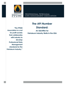 The API Number Standard: an Identifier for Petroleum Industry Wells in the USA