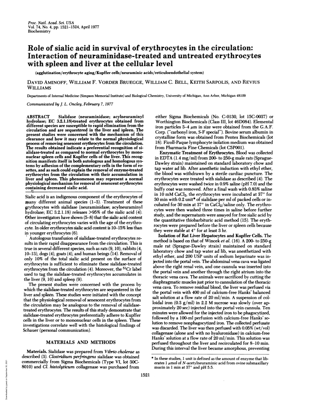 Role of Sialic Acid in Survival of Erythrocytes in the Circulation