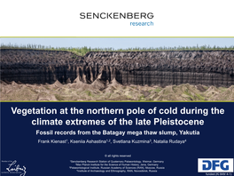 Vegetation at the Northern Pole of Cold During the Climate Extremes of the Late Pleistocene
