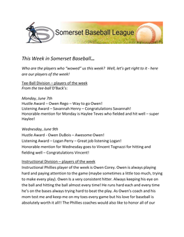 This Week in Somerset Baseball…