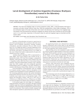 Larval Development of Austinixa Bragantina (Crustacea: Brachyura: Pinnotheridae) Reared in the Laboratory