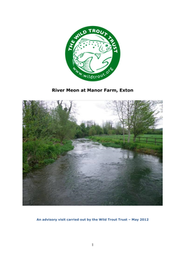 River Meon at Manor Farm, Exton