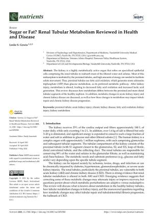 Renal Tubular Metabolism Reviewed in Health and Disease