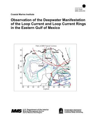 Observation of the Deepwater Manifestation of the Loop Current and Loop Current Rings in the Eastern Gulf of Mexico