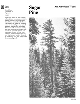 Sugar Pine, One of the Most Valuable Softwood Trees, Is Widely Distributed in Montane Regions of the Far Western United States in Mixed-Conifer Forests