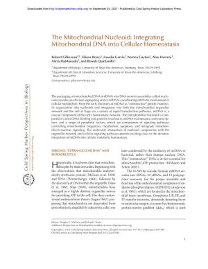 The Mitochondrial Nucleoid: Integrating Mitochondrial DNA Into Cellular Homeostasis