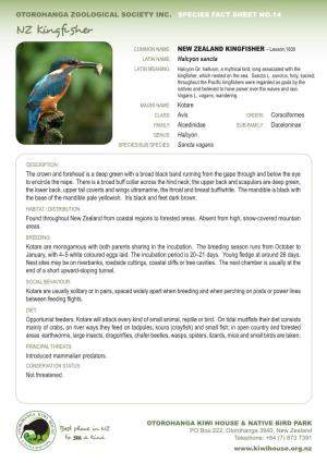 Download NZ Kingfisher Fact Sheet