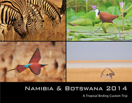 Namibia & Botswana 2014