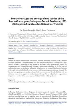 Immature Stages and Ecology of Two Species of the South African Genus Stripsipher Gory & Percheron, 1833 (Coleoptera, Scarabaeidae, Cetoniinae, Trichiini)