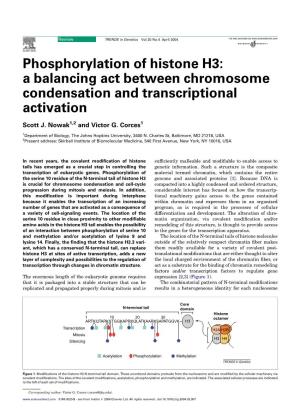 Phosphorylation of Histone H3: a Balancing Act Between Chromosome Condensation and Transcriptional Activation