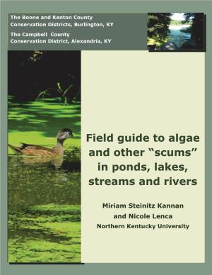 Field Guide to Algae and Other “Scums” in Ponds, Lakes, Streams and Rivers