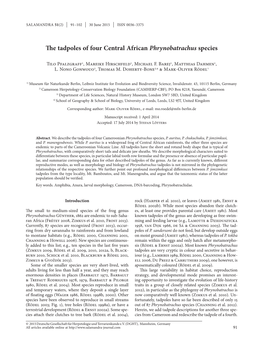 The Tadpoles of Four Central African Phrynobatrachus Species