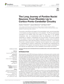 The Long Journey of Pontine Nuclei Neurons : from Rhombic Lip To