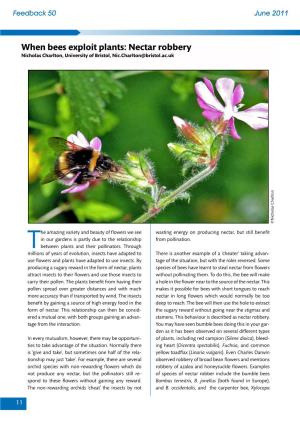 When Bees Exploit Plants: Nectar Robbery Nicholas Charlton, University of Bristol, Nic.Charlton@Bristol.Ac.Uk ©Nicholas Charlton