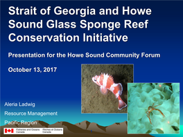 Strait of Georgia and Howe Sound Glass Sponge Reef Conservation Initiative