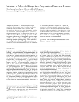 Mutations in ß-Spectrin Disrupt Axon Outgrowth and Sarcomere Structure