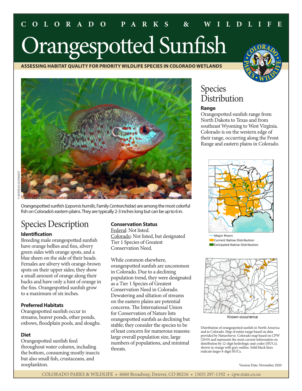 Orangespotted Sunfish ASSESSING HABITAT QUALITY for PRIORITY WILDLIFE SPECIES in COLORADO WETLANDS