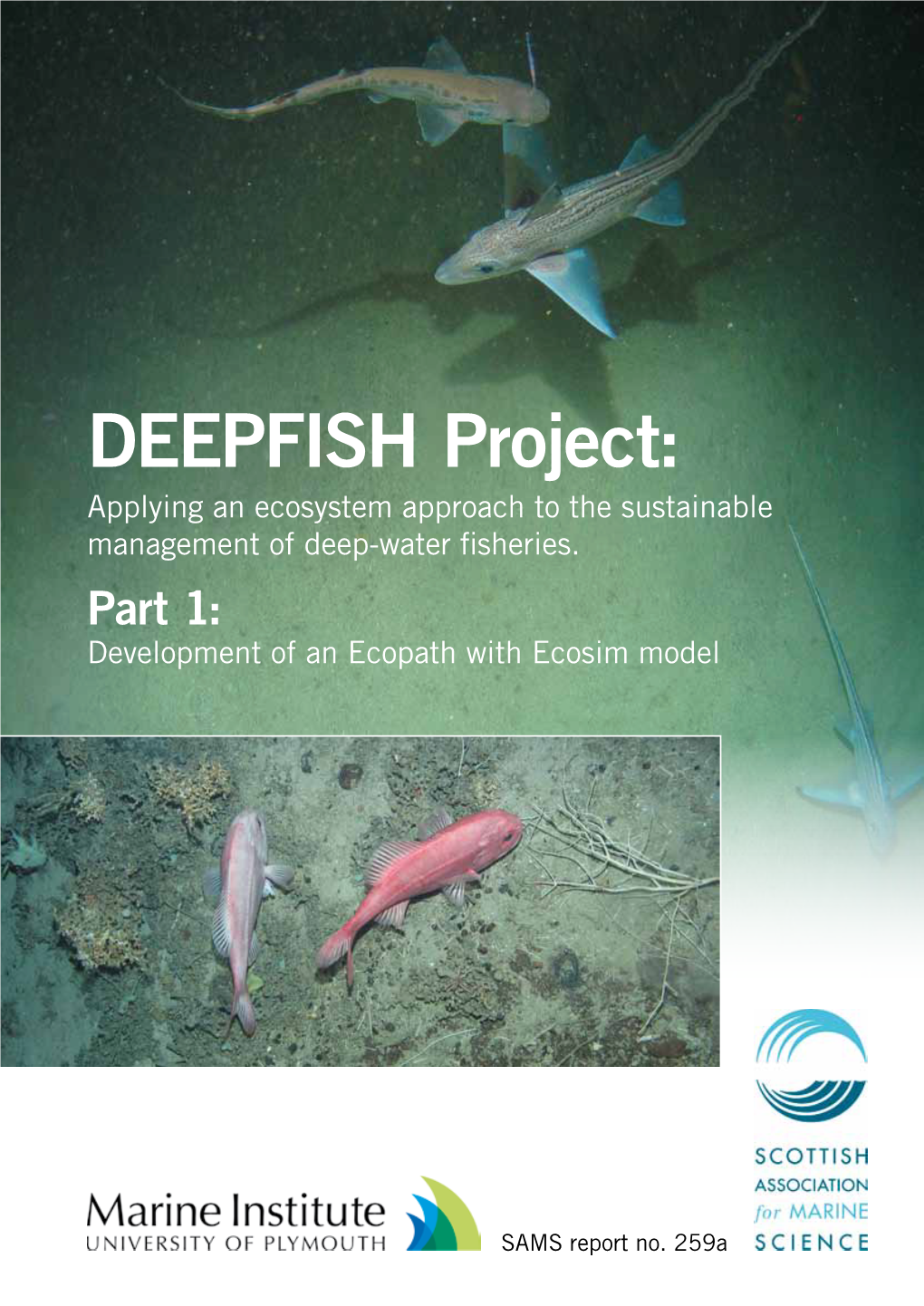 DEEPFISH Project: Applying an Ecosystem Approach to the Sustainable Management of Deep-Water Fisheries