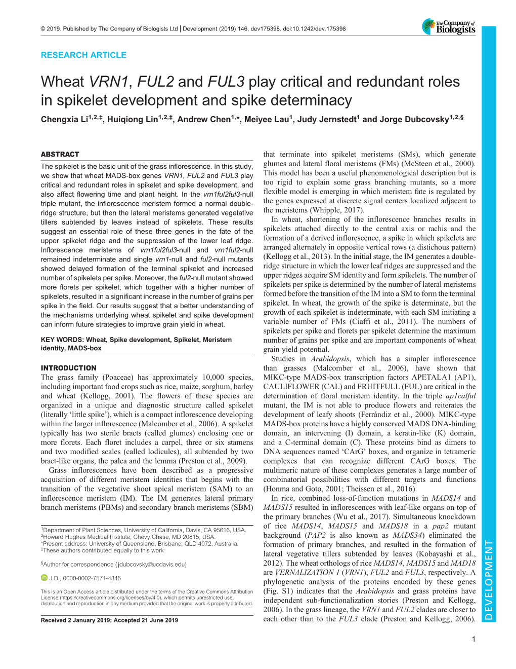 Wheat VRN1, FUL2 and FUL3 Play Critical and Redundant Roles In