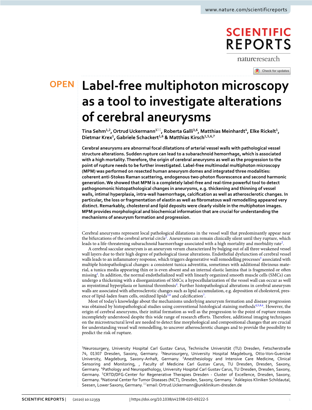 Label-Free Multiphoton Microscopy As a Tool to Investigate Alterations Of