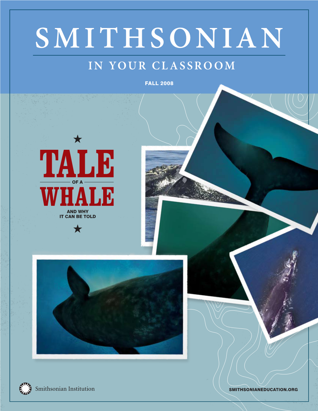 Tale of a Whale