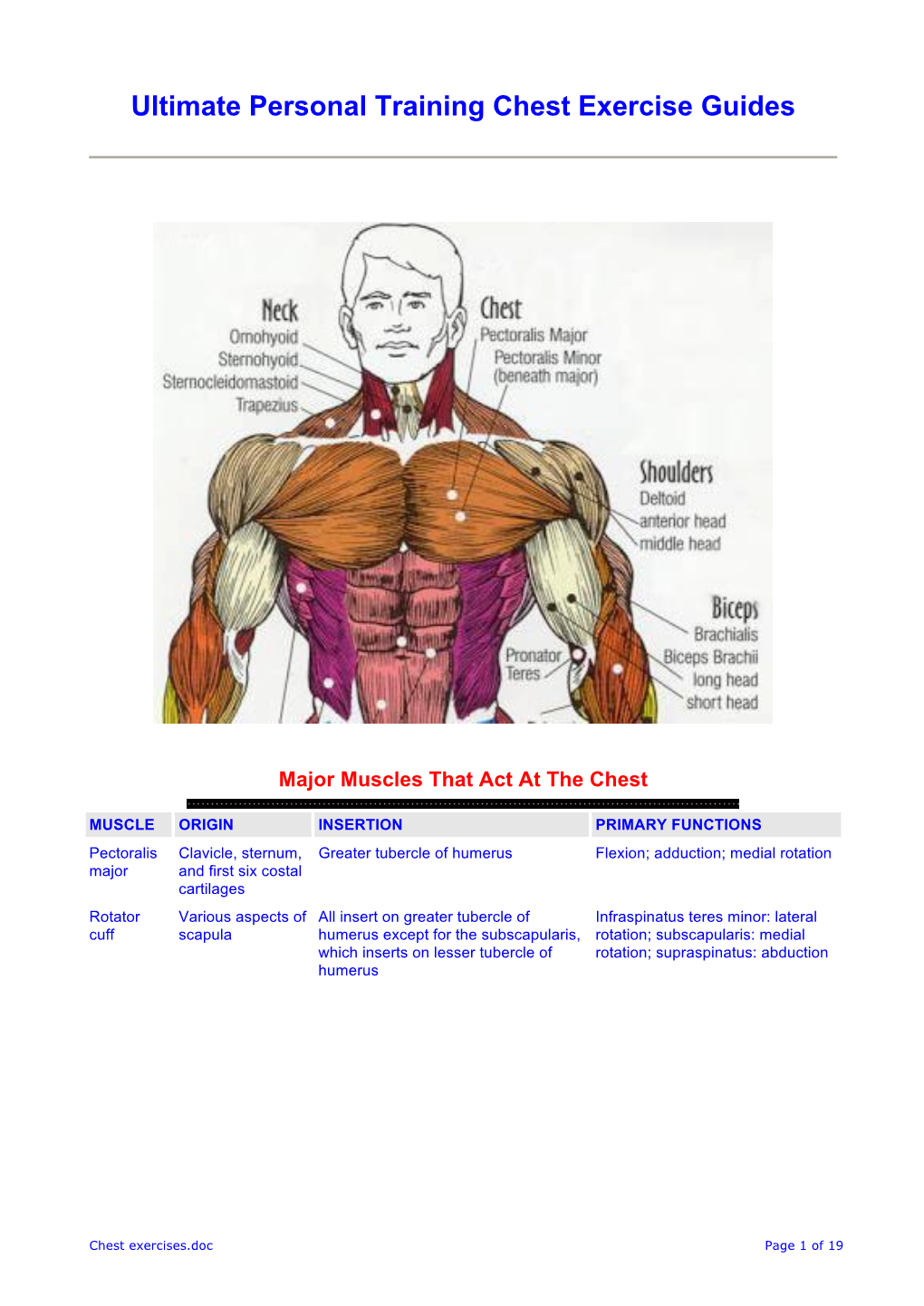 Chest Exercises.Doc Page 1 of 19