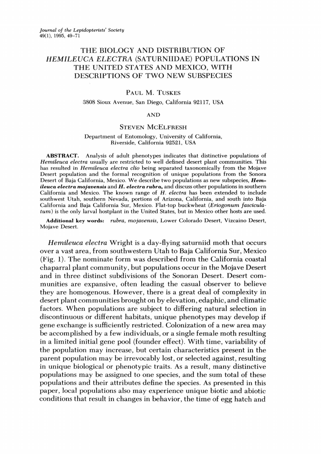 The Biology and Distribution of Hemileuca Electra (Saturniidae) Populations in the United States and Mexico, with Descriptions of Two New Subspecies