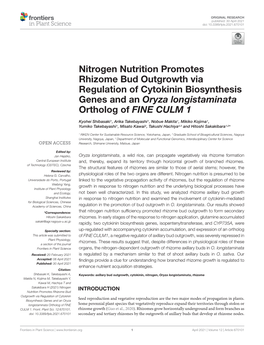 Nitrogen Nutrition Promotes Rhizome Bud Outgrowth Via Regulation of Cytokinin Biosynthesis Genes and an Oryza Longistaminata Ortholog of FINE CULM 1