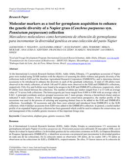 Molecular Markers As a Tool for Germplasm Acquisition to Enhance the Genetic Diversity of a Napier Grass (Cenchrus Purpureus Syn