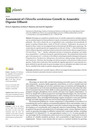 Assessment of Chlorella Sorokiniana Growth in Anaerobic Digester Effluent